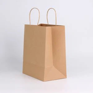 Bolsas De Papel Con Cargadera x1 und